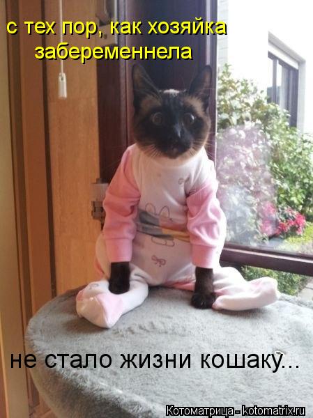 с тех пор, как хозяйка забеременнела не стало жизни кошаку...... Котоматрица: с тех пор, как хозяйка забеременнела не стало жизни кошаку...