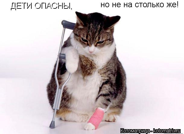 ДЕТИ ОПАСНЫ, но не на столько же!... Котоматрица: ДЕТИ ОПАСНЫ, но не на столько же!