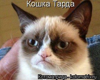 Кошка Тарда... Котоматрица: Кошка Тарда