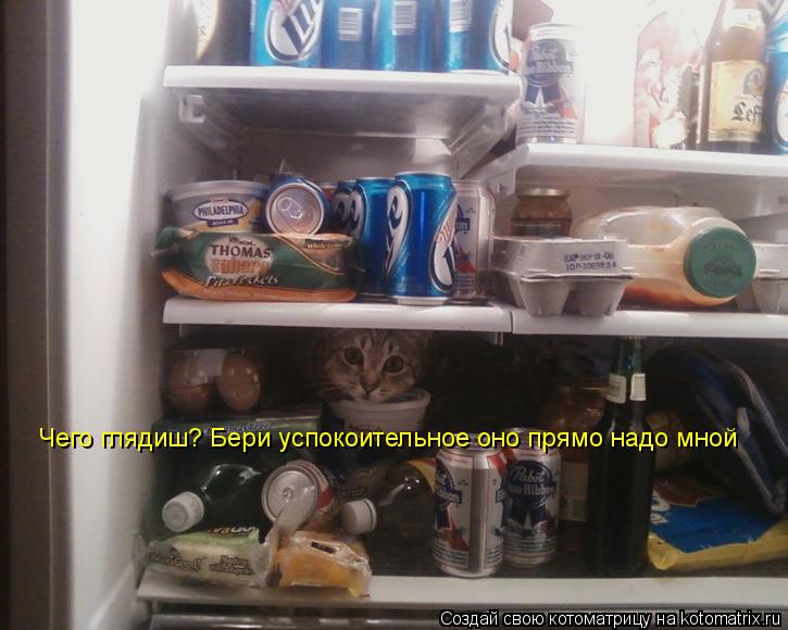 Чего глядиш? Бери успокоительное оно прямо надо мной... Котоматрица: Чего глядиш? Бери успокоительное оно прямо надо мной