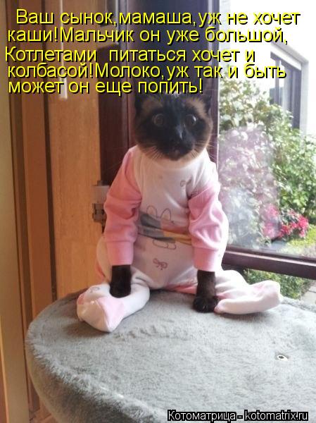 Ваш сынок,мамаша,уж не хочет каши!Мальчик он уже большой, Котлетами питаться хочет и колбасой!Молок... Котоматрица: Ваш сынок,мамаша,уж не хочет каши!Мальчик он уже большой, Котлетами питаться хочет и колбасой!Молоко,уж так и быть может он еще попить!