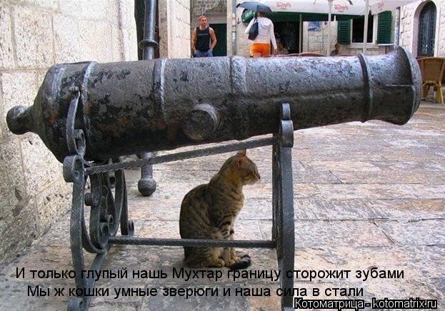И только глупый нашь Мухтар границу сторожит зубами Мы ж кошки умные зверюги и наша сила в стали... Котоматрица: И только глупый нашь Мухтар границу сторожит зубами Мы ж кошки умные зверюги и наша сила в стали