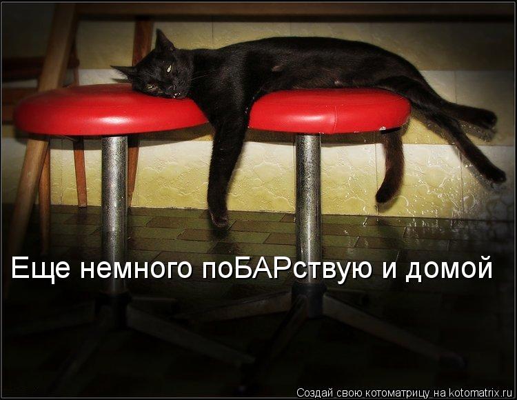 Еще немного поБАРствую и домой... Котоматрица: Еще немного поБАРствую и домой