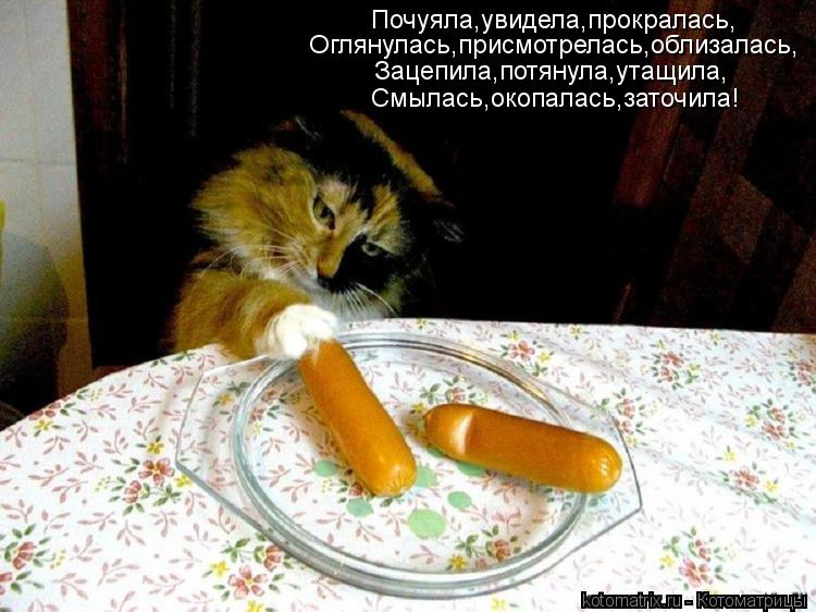 Котоматрица: Почуяла,увидела,прокралась, Оглянулась,присмотрелась,облизалась, Смылась,окопалась,заточила! Зацепила,потянула,утащила,