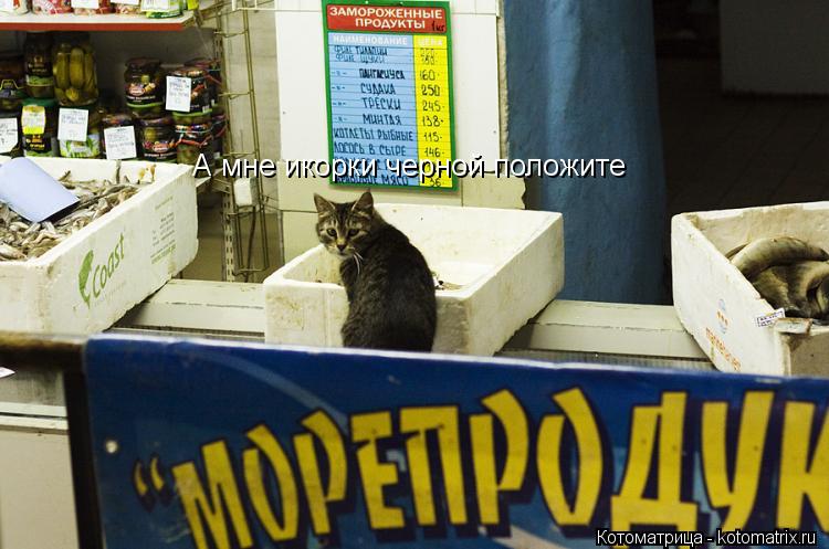 А мне икорки черной положите... Котоматрица: А мне икорки черной положите
