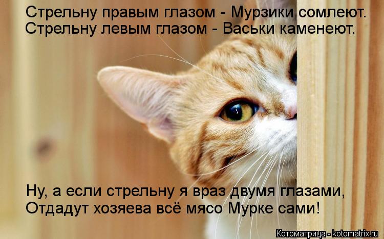 Стрельну правым глазом - Мурзики сомлеют. Стрельну левым глазом - Васьки каменеют. Ну, а если стрельн... Котоматрица: Стрельну правым глазом - Мурзики сомлеют. Стрельну левым глазом - Васьки каменеют. Ну, а если стрельну я враз двумя глазами, Отдадут хозяева