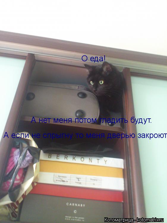 О еда! А нет меня потом гладить будут. А если не спрыгну то меня дверью закроют.... Котоматрица: О еда! А нет меня потом гладить будут. А если не спрыгну то меня дверью закроют.