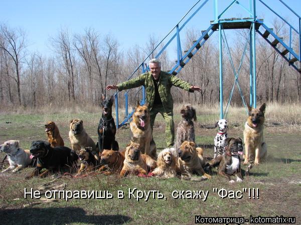 Котоматрица: Не отправишь в Круть, скажу "Фас"!!!
