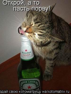 Открой, а то пасть порву!... Котоматрица: Открой, а то пасть порву!