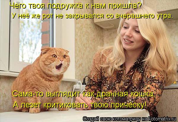 Чего твоя подружка к нам пришла? У неё же рот не закрывался со вчерашнего утра. Сама-то выглядит как ... Котоматрица: Чего твоя подружка к нам пришла? У неё же рот не закрывался со вчерашнего утра. Сама-то выглядит как дранная кошка, А лезет критиковать твою