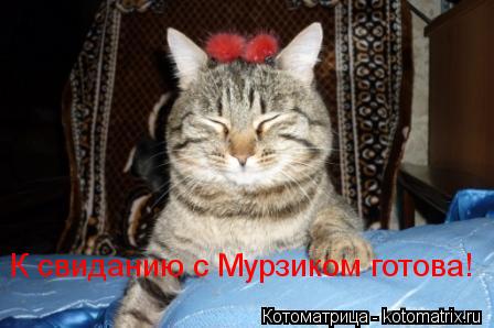 К свиданию с Мурзиком готова!... Котоматрица: К свиданию с Мурзиком готова!