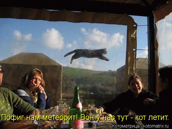 Пофиг нам метеорит! Вон у нас тут - кот летит.... Котоматрица: Пофиг нам метеорит! Вон у нас тут - кот летит.