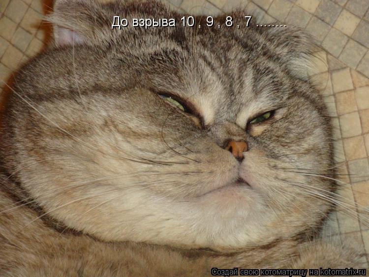 До взрыва 10 , 9 , 8 , 7 ........... Котоматрица: До взрыва 10 , 9 , 8 , 7 ........