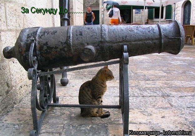 За Секунду До.............. Котоматрица: За Секунду До...........