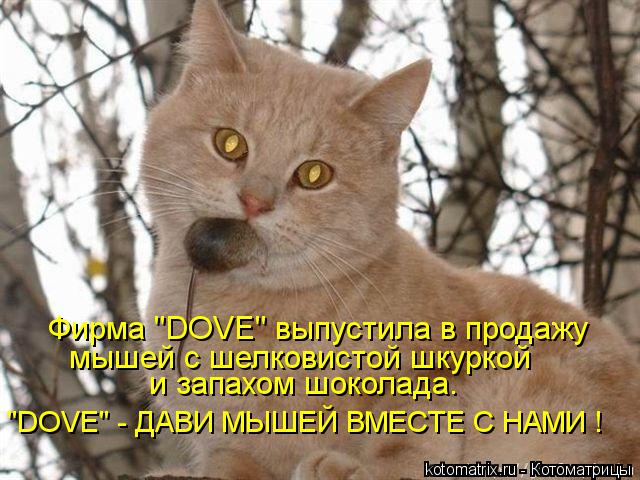 Фирма "DOVE" выпустила в продажу мышей с шелковистой шкуркой и запахом шоколада. "DOVE" - ДАВИ МЫШЕЙ ... Котоматрица: Фирма "DOVE" выпустила в продажу мышей с шелковистой шкуркой и запахом шоколада. "DOVE" - ДАВИ МЫШЕЙ ВМЕСТЕ С НАМИ !