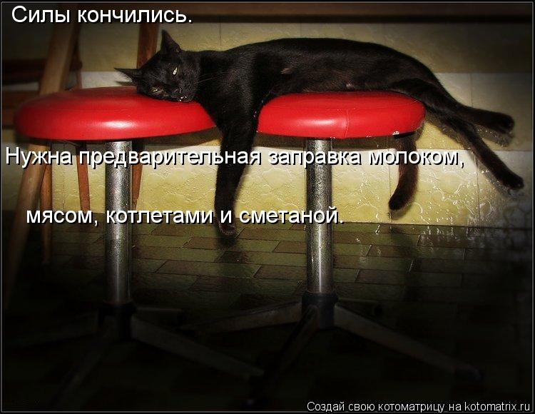 Силы кончились. Нужна предварительная заправка молоком, мясом, котлетами и сметаной.... Котоматрица: Силы кончились. Нужна предварительная заправка молоком, мясом, котлетами и сметаной.