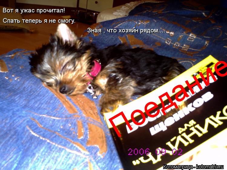 Поедание Вот я ужас прочитал! Спать теперь я не смогу. Зная , что хозяин рядом....... Котоматрица: Поедание Вот я ужас прочитал! Спать теперь я не смогу. Зная , что хозяин рядом....