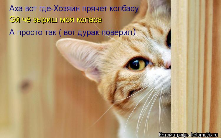 Аха вот где-Хозяин прячет колбасу Эй чё зыриш моя коласа А просто так ( вот дурак поверил )... Котоматрица: Аха вот где-Хозяин прячет колбасу Эй чё зыриш моя коласа А просто так ( вот дурак поверил )