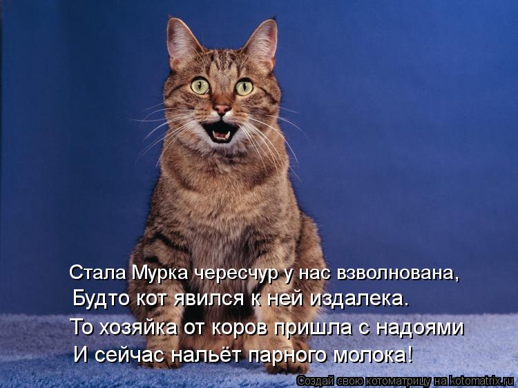 И сейчас нальёт парного молока! То хозяйка от коров пришла с надоями Будто кот явился к ней издалека.... Котоматрица: И сейчас нальёт парного молока! То хозяйка от коров пришла с надоями Будто кот явился к ней издалека. Стала Мурка чересчур у нас взволнована