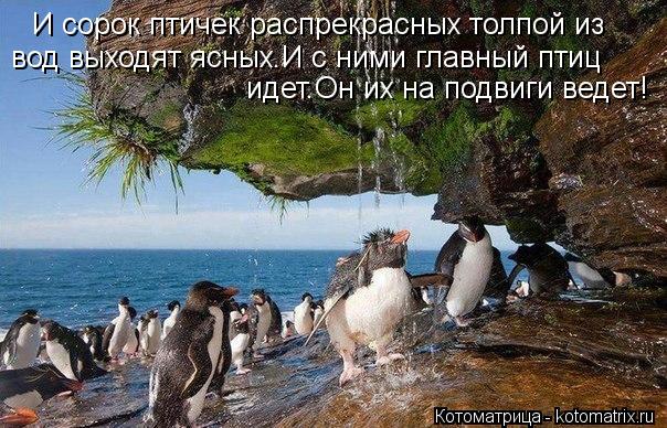 И сорок птичек распрекрасных толпой из вод выходят ясных.И с ними главный птиц идет.Он их на подвиги ... Котоматрица: И сорок птичек распрекрасных толпой из вод выходят ясных.И с ними главный птиц идет.Он их на подвиги ведет!