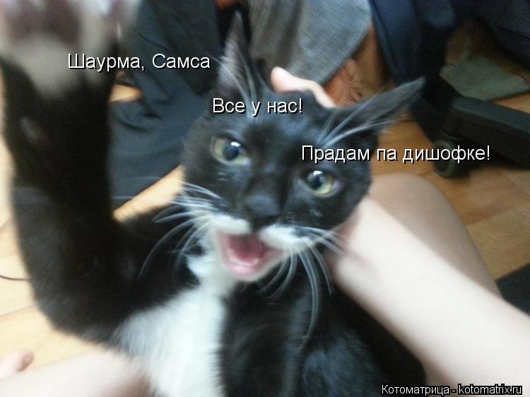 Шаурма, Самса Все у нас! Прадам па дишофке!... Котоматрица: Шаурма, Самса Все у нас! Прадам па дишофке!