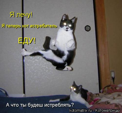 Я лечу! Я теперь кот истребитель А что ты будеш истреблять? ЕДУ!... Котоматрица: Я лечу! Я теперь кот истребитель А что ты будеш истреблять? ЕДУ!