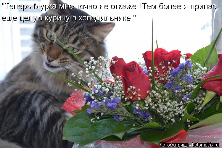 "Теперь Мурка мне точно не откажет!Тем более,я припас ещё целую курицу в холодильнике!"... Котоматрица: "Теперь Мурка мне точно не откажет!Тем более,я припас ещё целую курицу в холодильнике!"