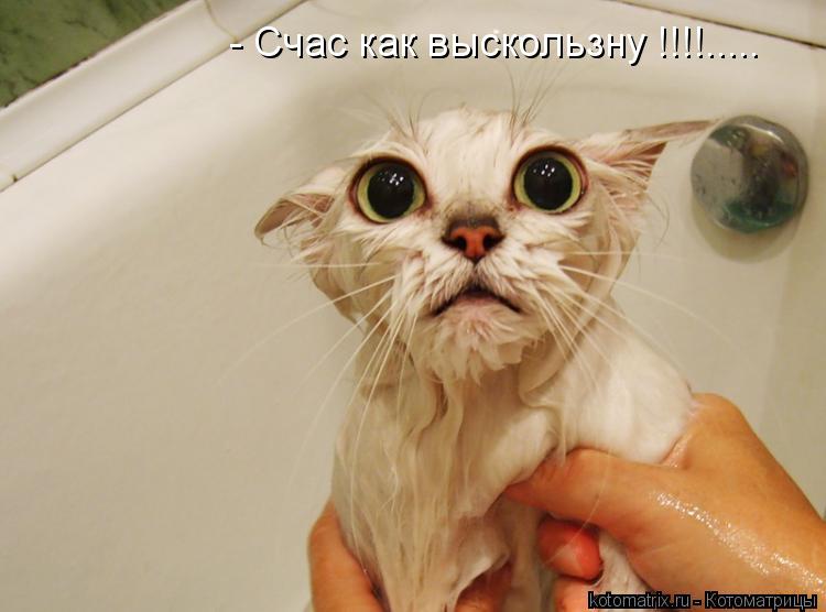 - Счас как выскользну !!!!........ Котоматрица: - Счас как выскользну !!!!.....