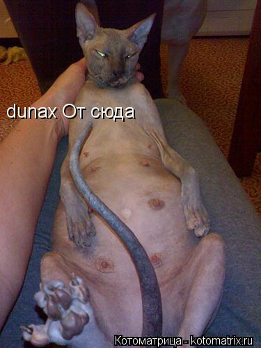 dunax От сюда... Котоматрица: dunax От сюда