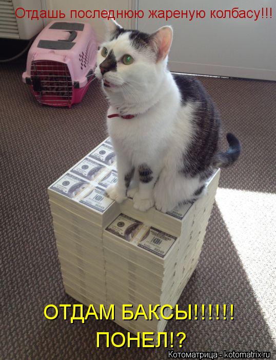 Отдашь последнюю жареную колбасу!!! ОТДАМ БАКСЫ!!!!!! ПОНЕЛ!?... Котоматрица: Отдашь последнюю жареную колбасу!!! ОТДАМ БАКСЫ!!!!!! ПОНЕЛ!?