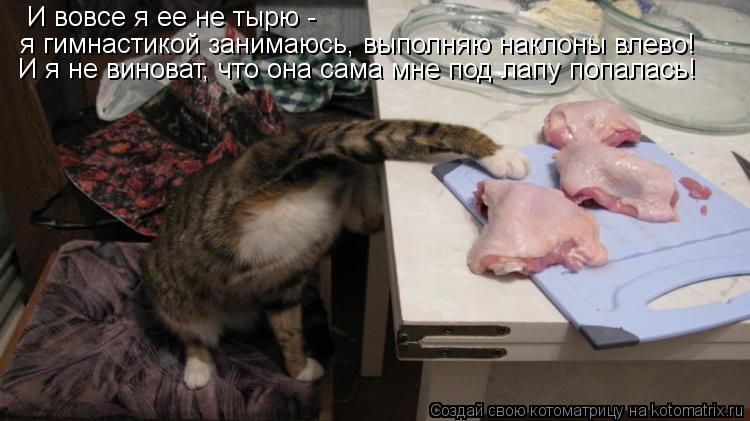 И вовсе я ее не тырю - я гимнастикой занимаюсь, выполняю наклоны влево! И я не виноват, что она сама... Котоматрица: И вовсе я ее не тырю - я гимнастикой занимаюсь, выполняю наклоны влево! И я не виноват, что она сама мне под лапу попалась!