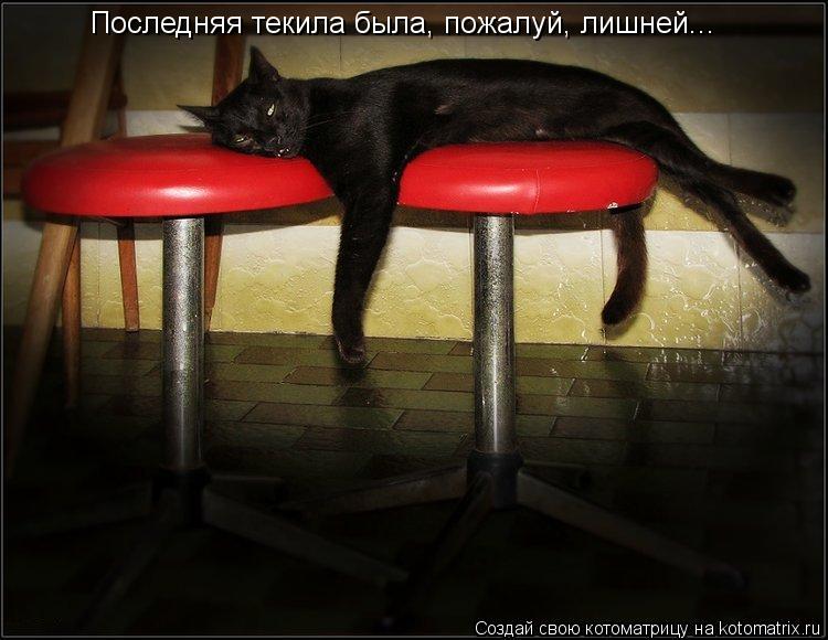 Последняя текила была, пожалуй, лишней...... Котоматрица: Последняя текила была, пожалуй, лишней...