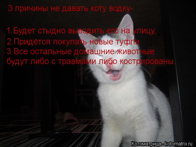 1.Будет стыдно выводить его на улицу, 2.Придётся покупать новые туфли 3.Все остальные домашние животн... Котоматрица: 1.Будет стыдно выводить его на улицу, 2.Придётся покупать новые туфли 3.Все остальные домашние животные 3 причины не давать коту водку- будут