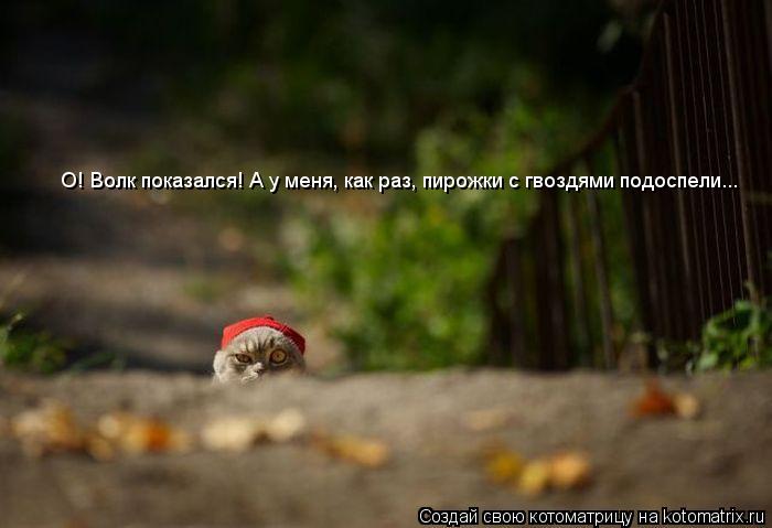 О! Волк показался! А у меня, как раз, пирожки с гвоздями подоспели...... Котоматрица: О! Волк показался! А у меня, как раз, пирожки с гвоздями подоспели...