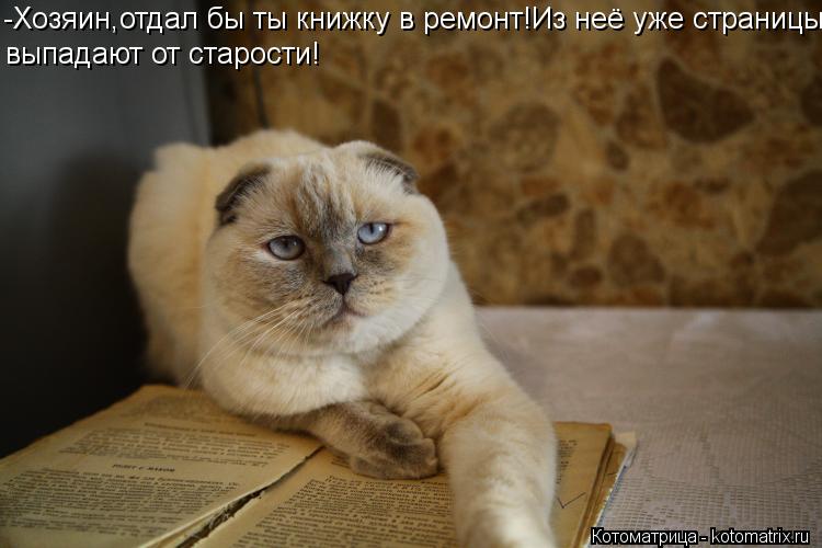 -Хозяин,отдал бы ты книжку в ремонт!Из неё уже страницы выпадают от старости!... Котоматрица: -Хозяин,отдал бы ты книжку в ремонт!Из неё уже страницы выпадают от старости!
