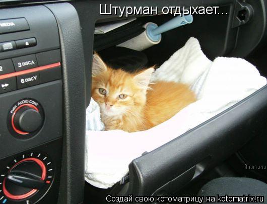 Штурман отдыхает...... Котоматрица: Штурман отдыхает...
