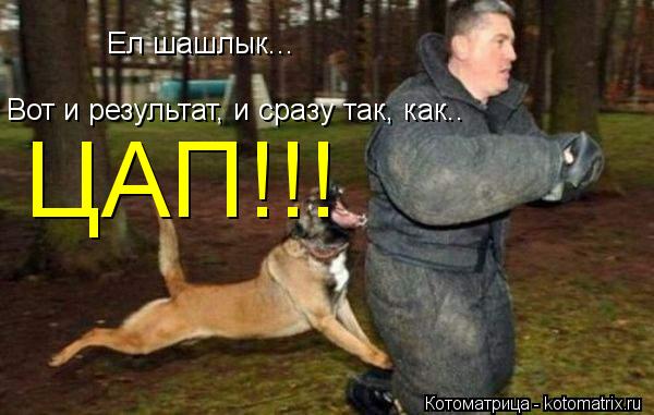 Ел шашлык... Вот и результат, и сразу так, как.. ЦАП!!!... Котоматрица: Ел шашлык... Вот и результат, и сразу так, как.. ЦАП!!!