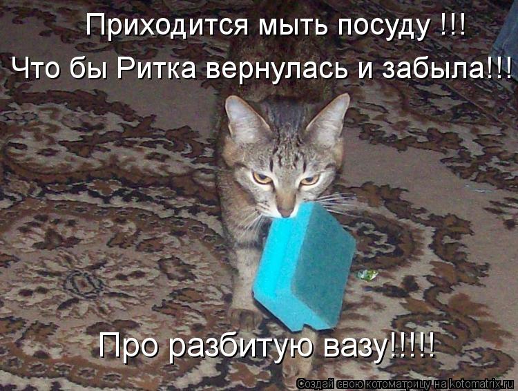 Приходится мыть посуду !!! Про разбитую вазу!!!!! Что бы Ритка вернулась и забыла!!!... Котоматрица: Приходится мыть посуду !!! Про разбитую вазу!!!!! Что бы Ритка вернулась и забыла!!!