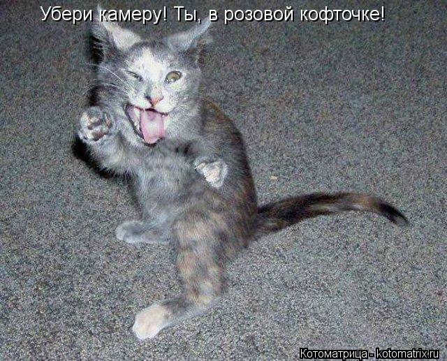 Убери камеру! Ты, в розовой кофточке!... Котоматрица: Убери камеру! Ты, в розовой кофточке!