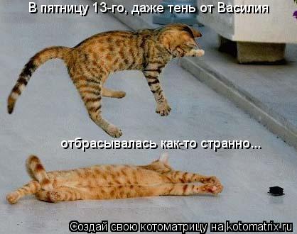 В пятницу 13-го, даже тень от Василия отбрасывалась как-то странно...... Котоматрица: В пятницу 13-го, даже тень от Василия отбрасывалась как-то странно...