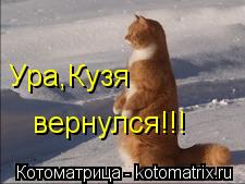 Ура,Кузя вернулся!!!... Котоматрица: Ура,Кузя вернулся!!!
