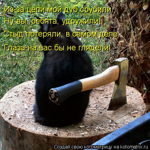 Из-за цепи мой дуб срубили. Ну вы, ребята, удружили!. Стыд потеряли, в самом деле. Глаза на вас бы не... Котоматрица: Из-за цепи мой дуб срубили. Ну вы, ребята, удружили!. Стыд потеряли, в самом деле. Глаза на вас бы не глядели!