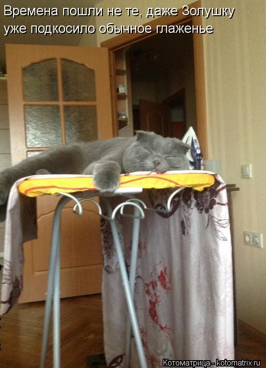 Времена пошли не те, даже Золушку уже подкосило обычное глаженье... Котоматрица: Времена пошли не те, даже Золушку уже подкосило обычное глаженье