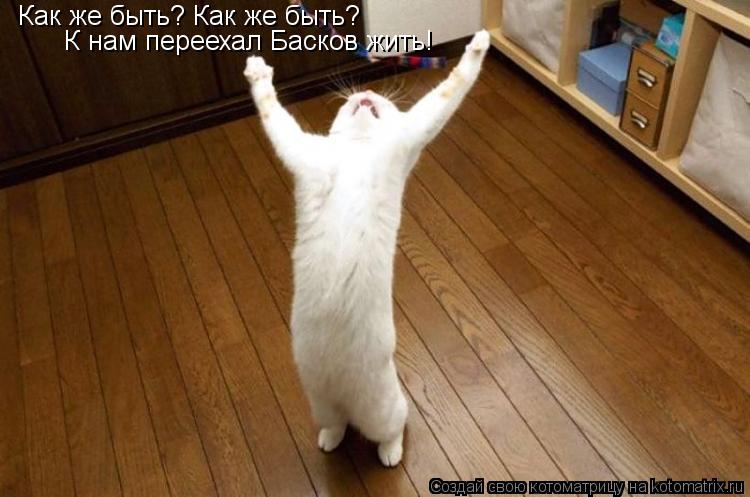 Как же быть? Как же быть? К нам переехал Басков жить!... Котоматрица: Как же быть? Как же быть? К нам переехал Басков жить!