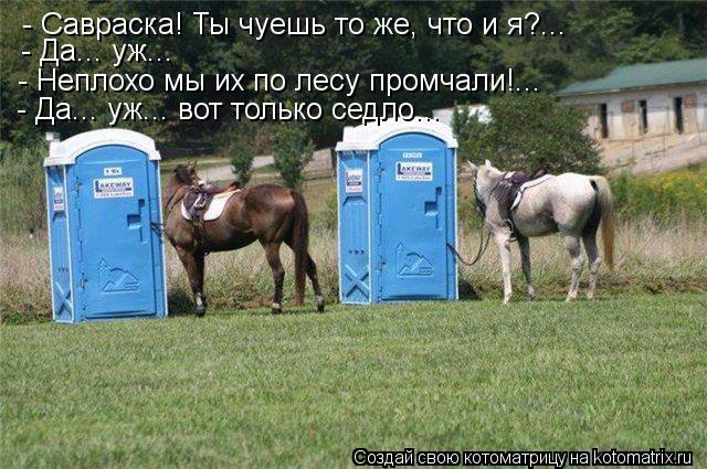 - Савраска! Ты чуешь то же, что и я?... - Да... уж... - Неплохо мы их по лесу промчали!... - Да... уж... Котоматрица: - Савраска! Ты чуешь то же, что и я?... - Да... уж... - Неплохо мы их по лесу промчали!... - Да... уж... вот только седло...