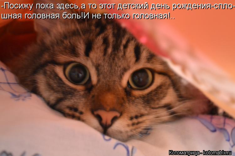 -Посижу пока здесь,а то этот детский день рождения-спло- шная головная боль!И не только головная!..... Котоматрица: -Посижу пока здесь,а то этот детский день рождения-спло- шная головная боль!И не только головная!..