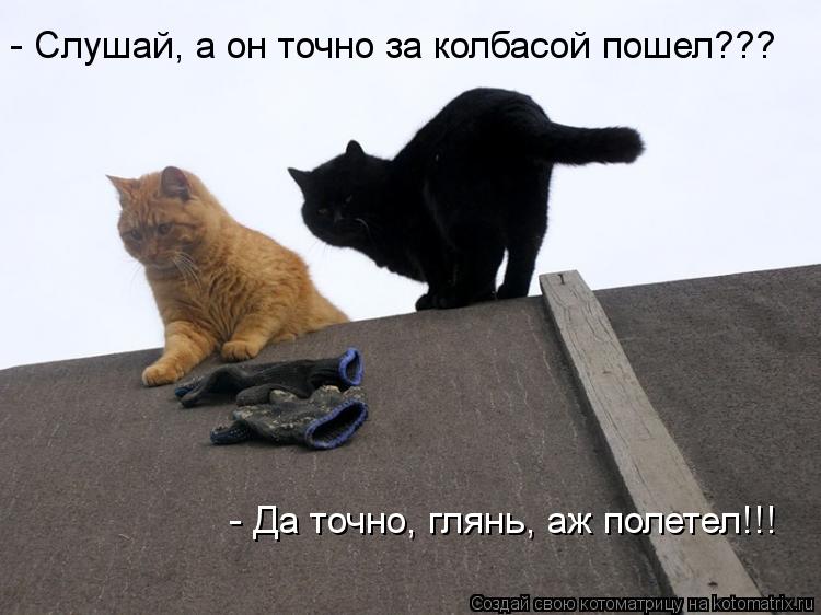 - Слушай, а он точно за колбасой пошел??? - Да точно, глянь, аж полетел!!!... Котоматрица: - Слушай, а он точно за колбасой пошел??? - Да точно, глянь, аж полетел!!!