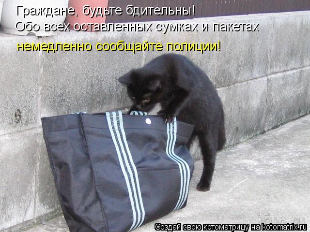 Граждане, будьте бдительны! Обо всех оставленных сумках и пакетах немедленно сообщайте полиции!... Котоматрица: Граждане, будьте бдительны! Обо всех оставленных сумках и пакетах немедленно сообщайте полиции!