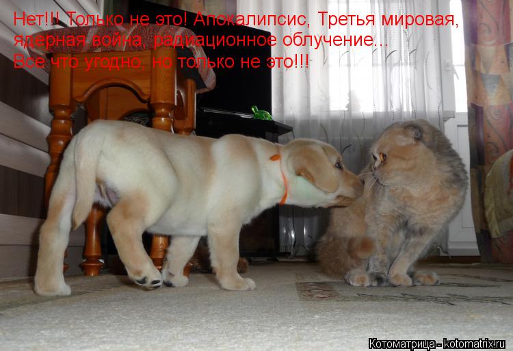 ядерная война, радиационное облучение... Нет!!! Только не это! Апокалипсис, Третья мировая, Все что у... Котоматрица: ядерная война, радиационное облучение... Нет!!! Только не это! Апокалипсис, Третья мировая, Все что угодно, но только не это!!!