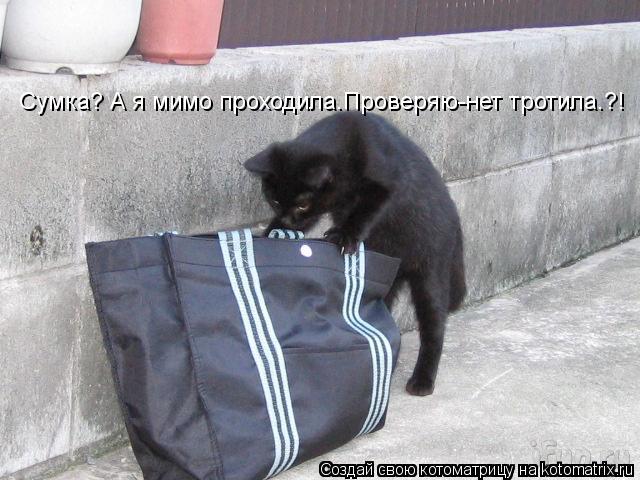 Cумка? А я мимо проходила.Проверяю-нет тротила.?!... Котоматрица: Cумка? А я мимо проходила.Проверяю-нет тротила.?!